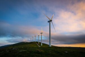 parque eólico