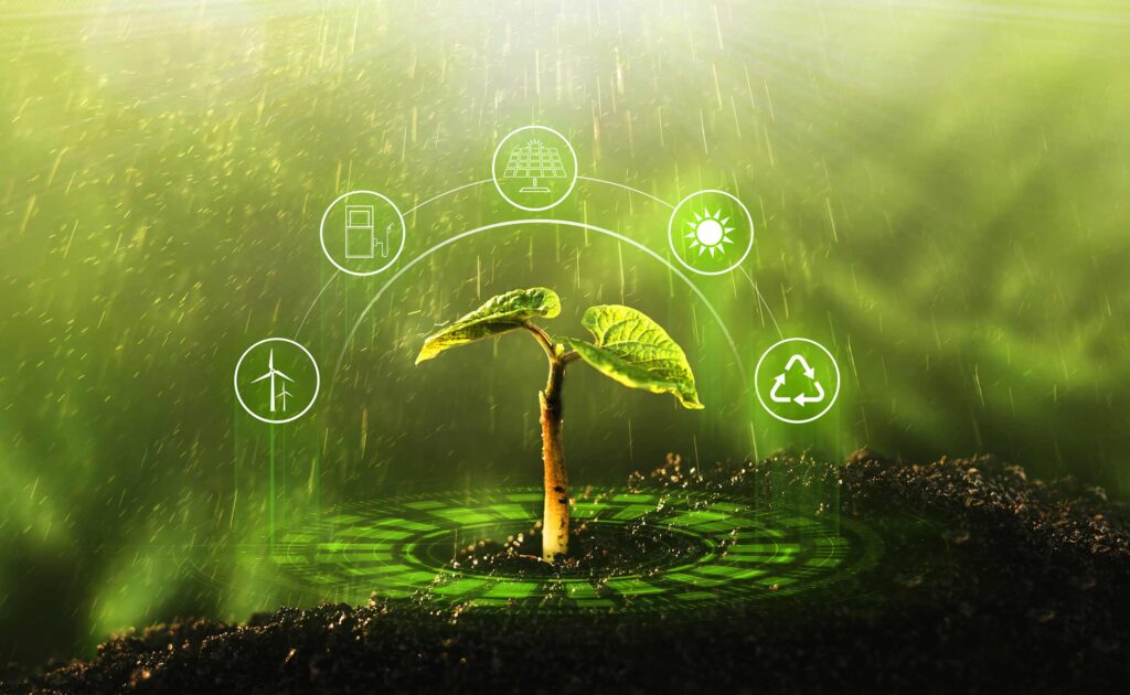 Informe sobre las energías renovables 2022