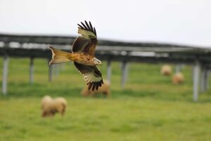 Milano Real en planta fotovoltaica