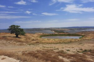 Instalaciones fotovoltaicas en Cedillo