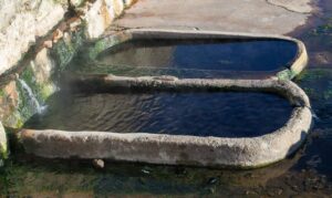 Termas_romanas__Bande_Luis_Miguel_Bugallo-Sanchez